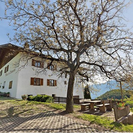 Moar Im Rumsein - Apt Etschblick San Genesio Atesino Exterior photo